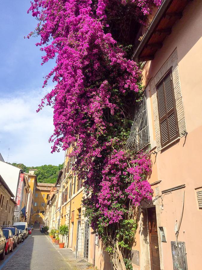 Good Morning Rome Trastevere Appartamento Esterno foto